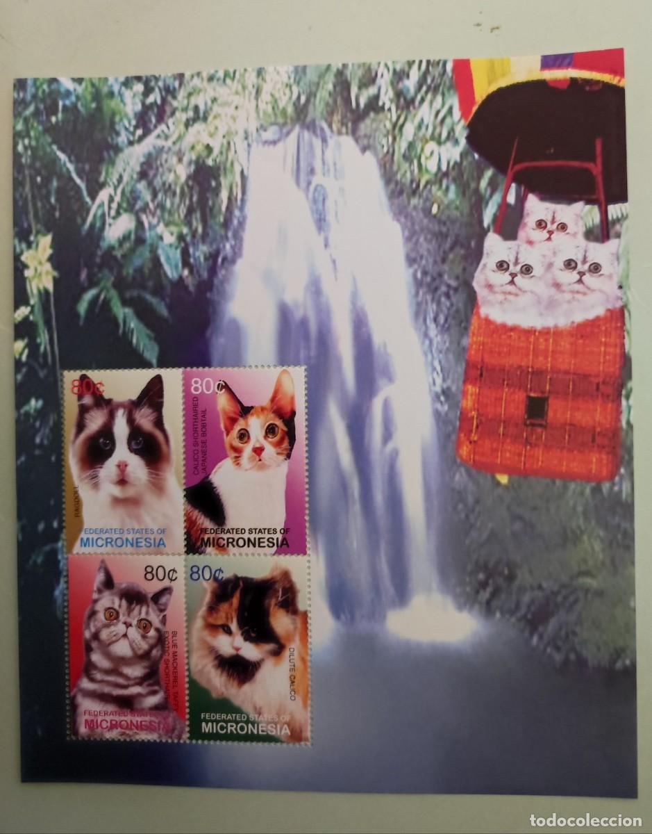 Sellos: MICRONESIA . GATOS HB NUEVA. - Foto 1