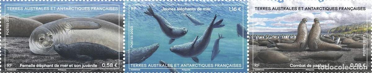 Sellos: TAAF 2023 - Triptyque - El&eacute;phant de mer mnh** - Foto 1