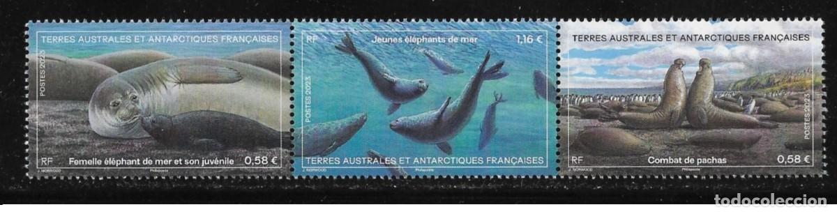 Sellos: TAAF 2023 - Triptyque - El&eacute;phant de mer mnh** - Foto 1