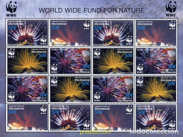 Sellos: 165769 MNH MICRONESIA 2005 WWF - Foto 1
