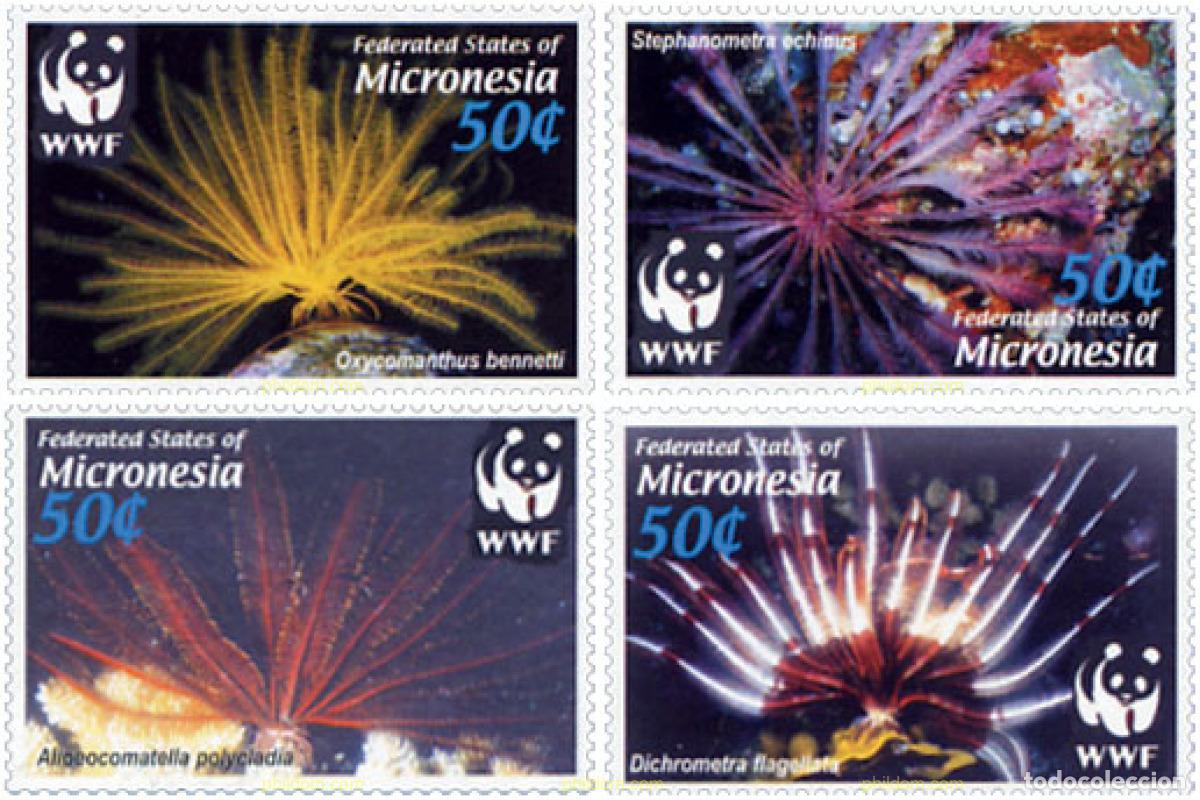 Sellos: 165767 MNH MICRONESIA 2005 WWF - Foto 1