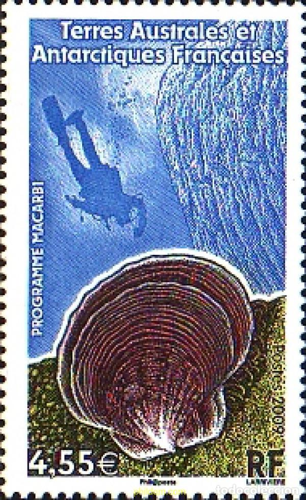 Sellos: 223106 MNH ANTARTIDA FRANCESA 2009 PROGRAMA MACARBI - Foto 1