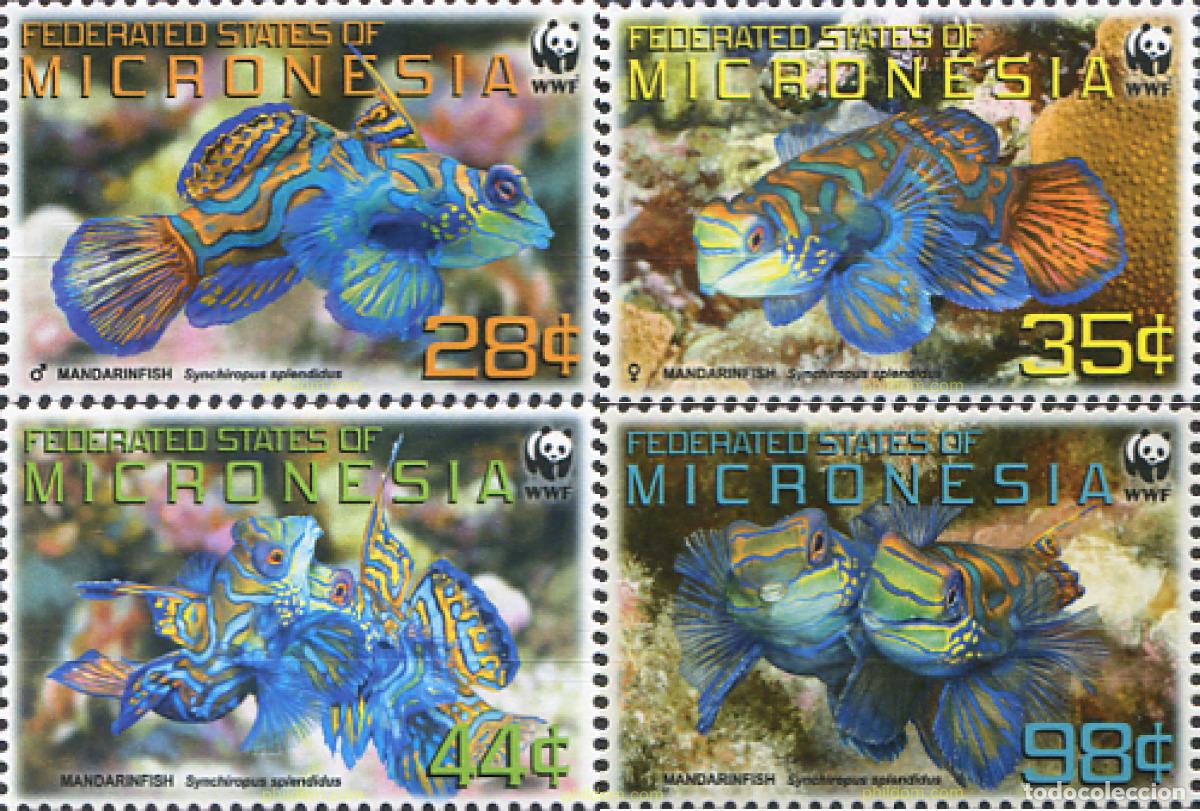 Sellos: 235078 MNH MICRONESIA 2009 PECES - Foto 1