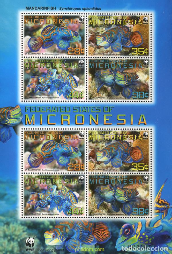 Sellos: 235081 MNH MICRONESIA 2009 PECES - Foto 1