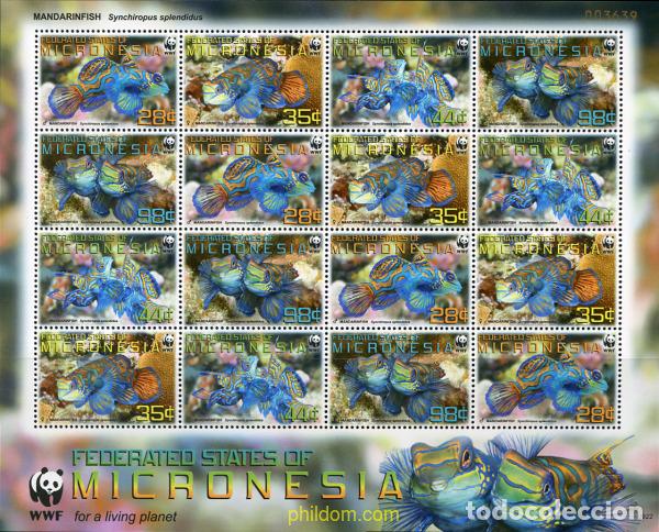 Sellos: 235080 MNH MICRONESIA 2009 PECES - Foto 1