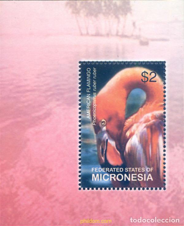 Sellos: 344081 MNH MICRONESIA 2003 AVE - Foto 1