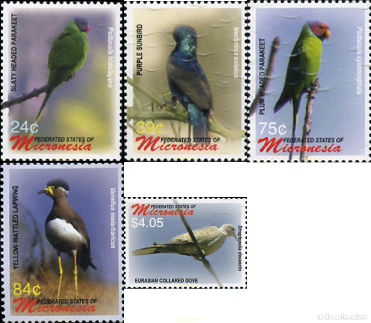 Sellos: 344355 MNH MICRONESIA 2006 AVES - Foto 1