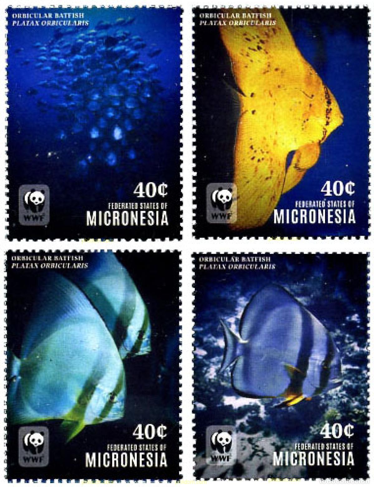 Sellos: 351160 MNH MICRONESIA 2014 PECES - Foto 1