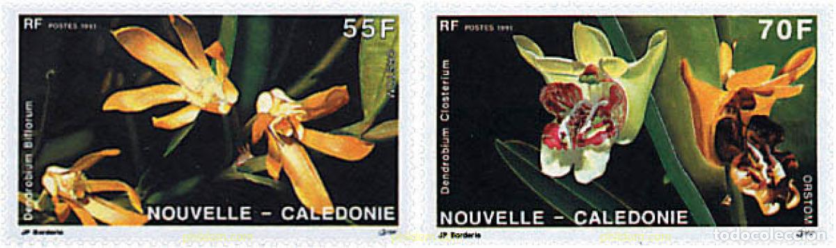 Sellos: 94960 MNH NUEVA CALEDONIA 1991 ORQUIDEAS DE NUEVA CALEDONIA