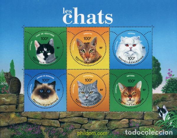 Sellos: 152393 MNH NUEVA CALEDONIA 2004 GATOS