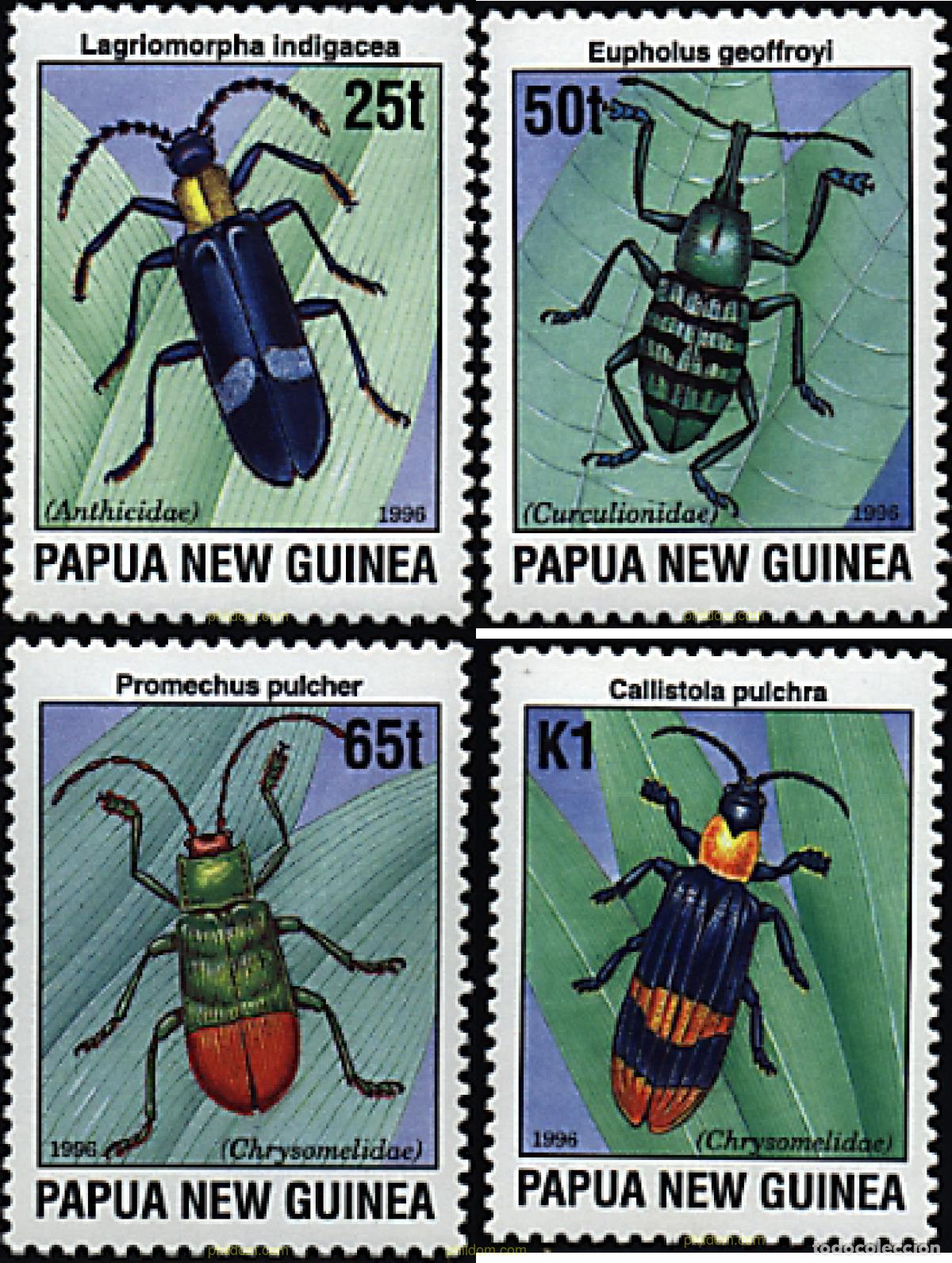 Sellos: 45125 MNH PAPUA NUEVA GUINEA 1996 INSECTOS