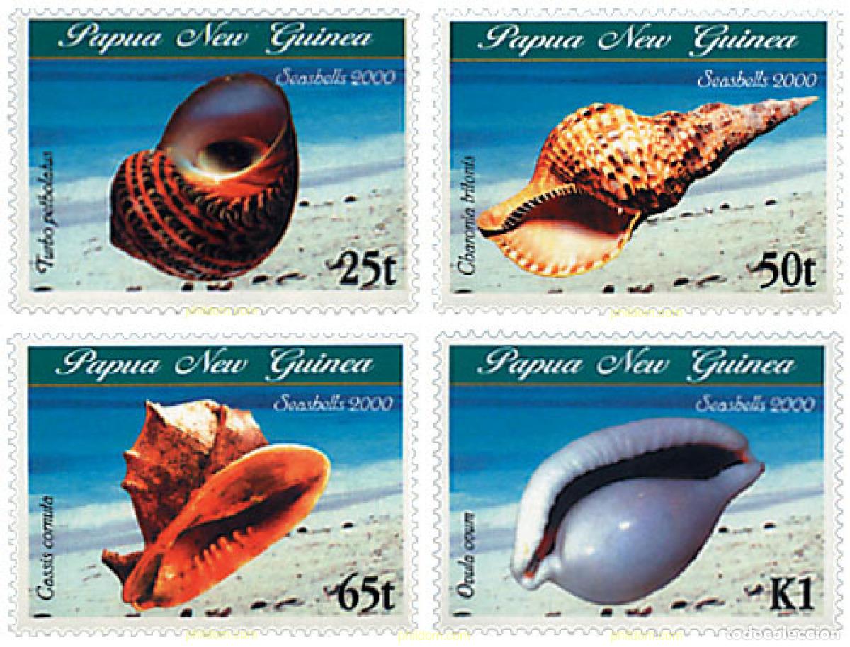 Sellos: 156148 MNH PAPUA NUEVA GUINEA 2000 CONCHAS
