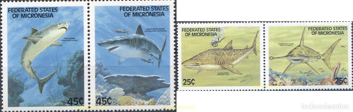 Sellos: 154505 MNH MICRONESIA 1989 TIBURONES