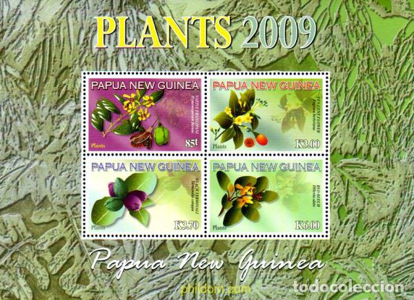 Sellos: 226512 MNH PAPUA NUEVA GUINEA 2009 FLORES