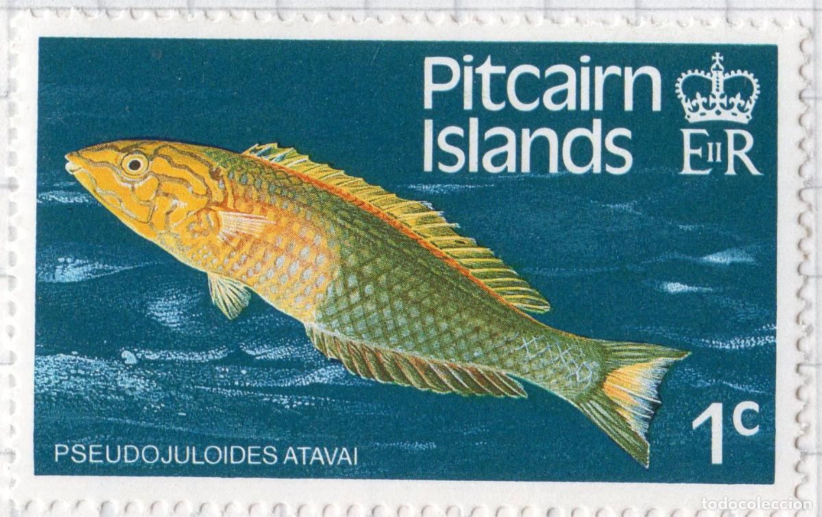 Sellos: PITCAIRN ISLANDS 1984 STAMP MICHEL PN 238