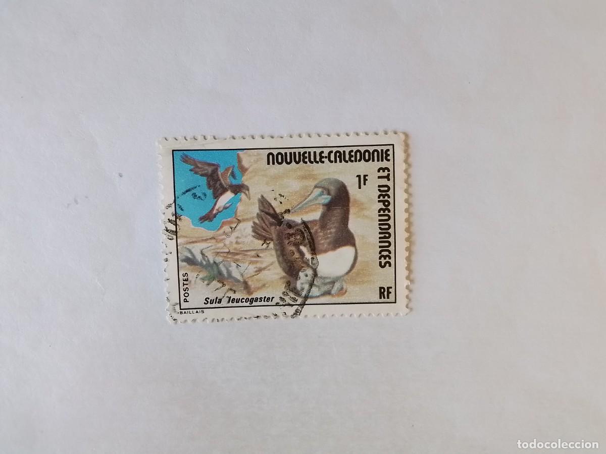 Sellos: A&Ntilde;O 1976 NUEVA CALEDONIA SELLO USADO