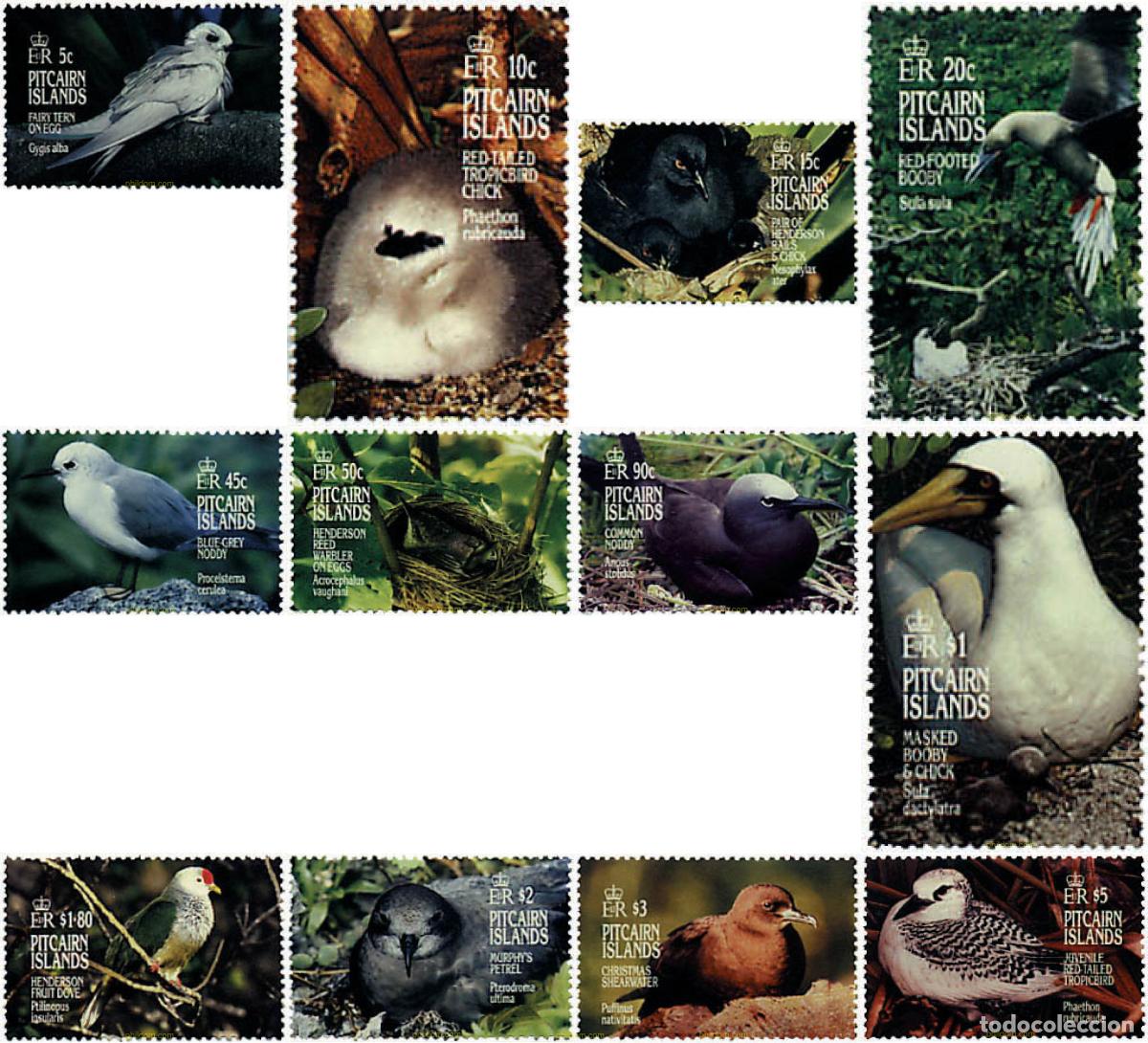 Sellos: 32890 MNH PITCAIRN Islas 1995 AVES