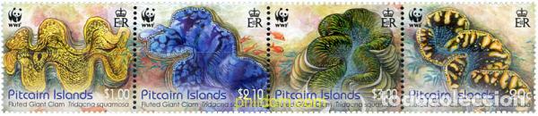 Sellos: 287387 MNH PITCAIRN Islas 2012 ALMEJA GIGANTE ESTRIADA