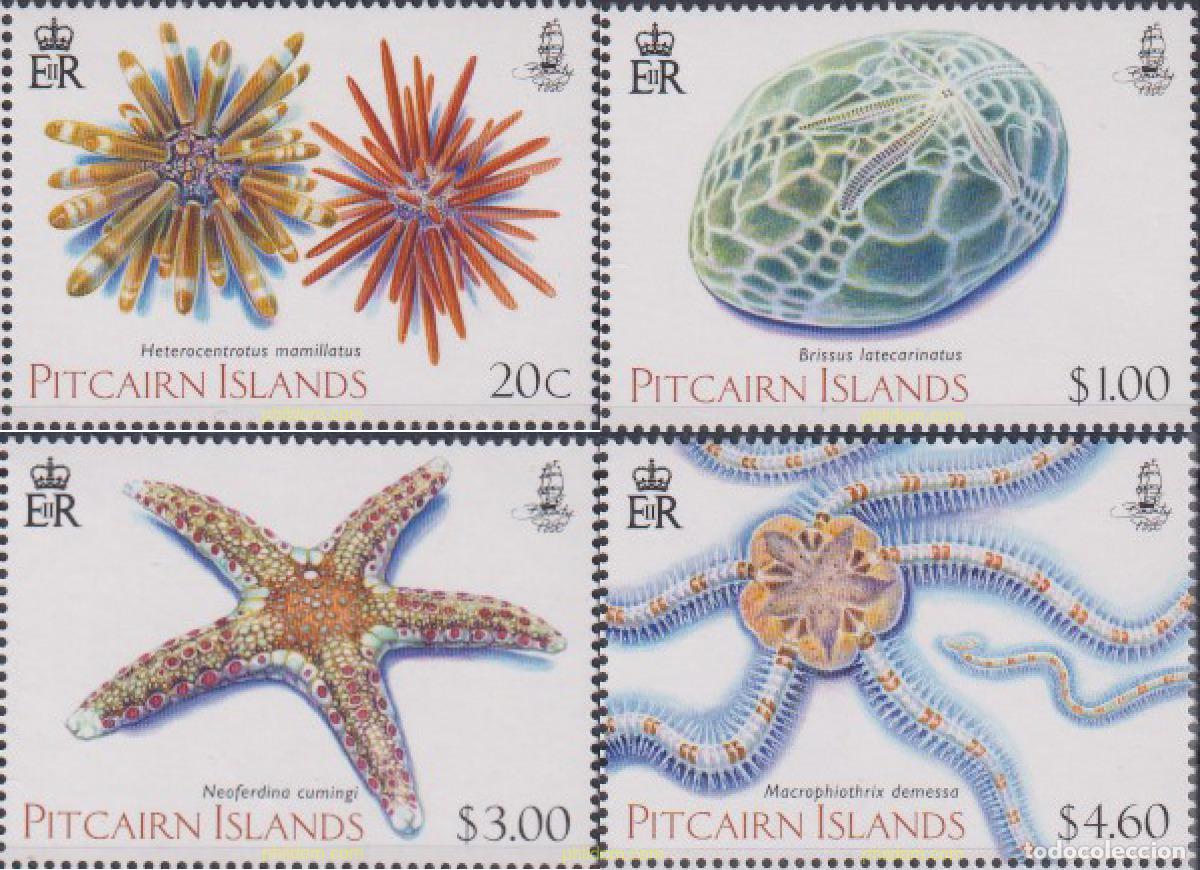 Sellos: 617213 MNH PITCAIRN Islas 2019 ESTRELLAS DE MAR