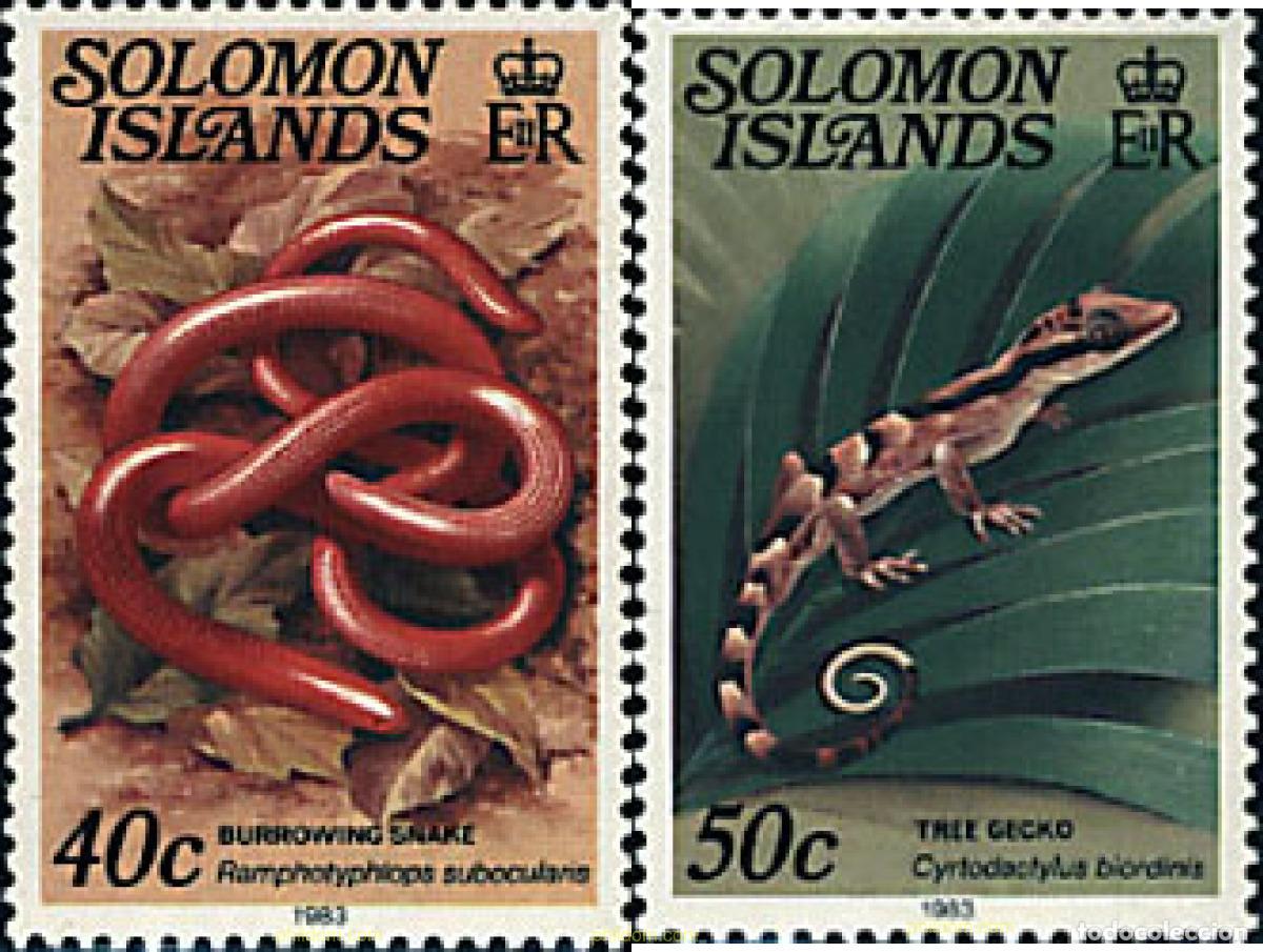 Sellos: 45352 MNH SALOMON 1983 REPTILES