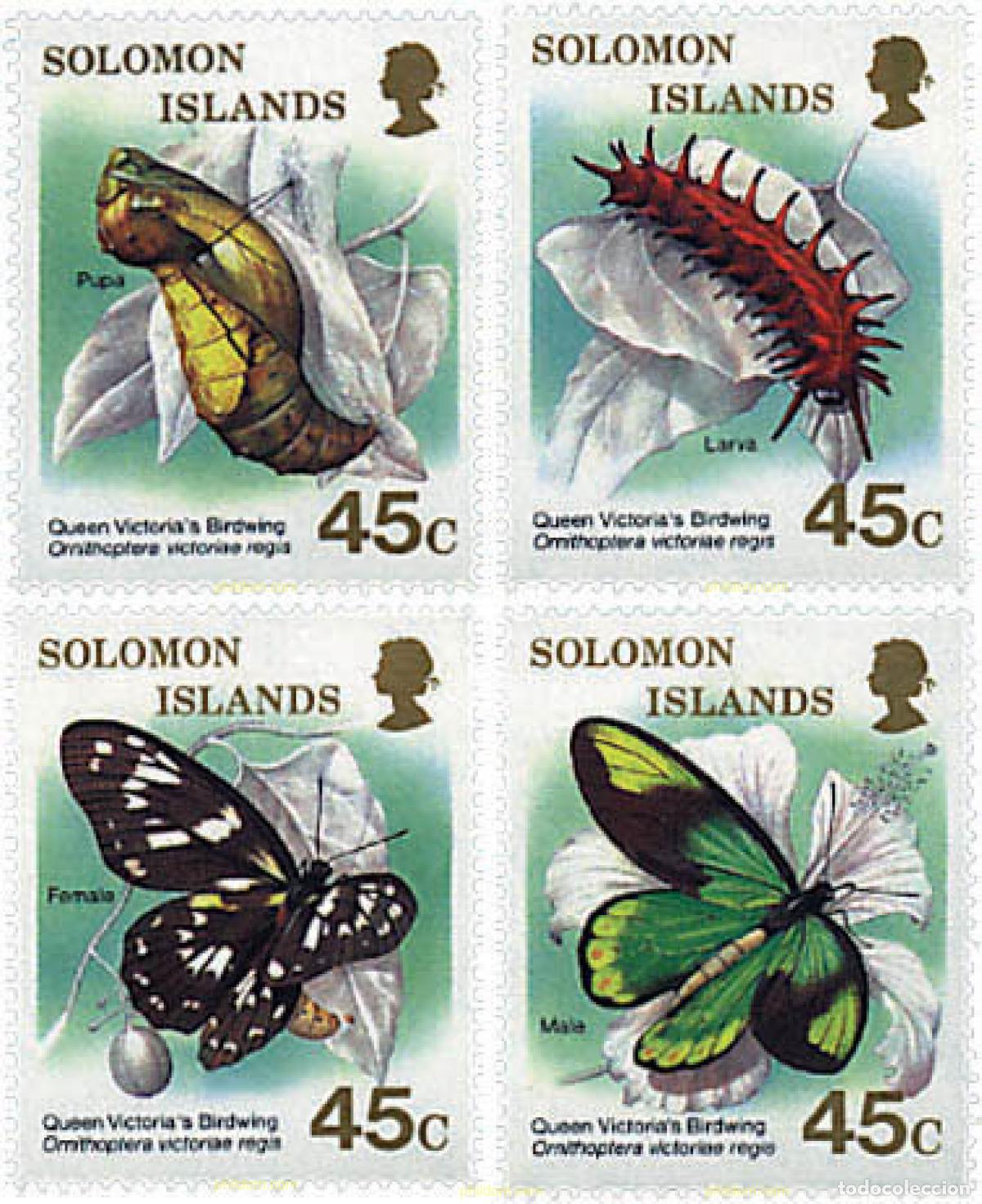 Sellos: 95002 MNH SALOMON 1987 MARIPOSAS