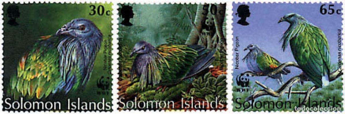 Sellos: 283918 MNH SALOMON 1993 PALOMA DE NICOBAR