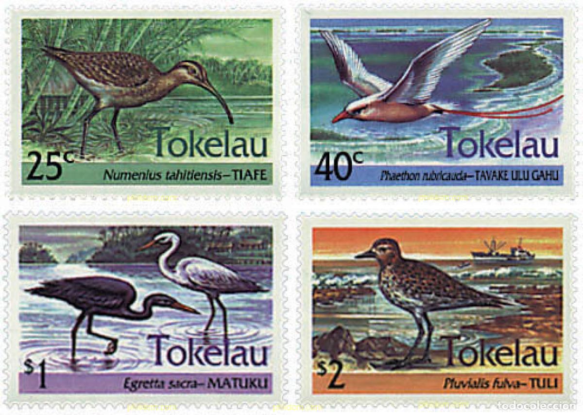 Sellos: 37260 MNH TOKELAU 1993 AVES