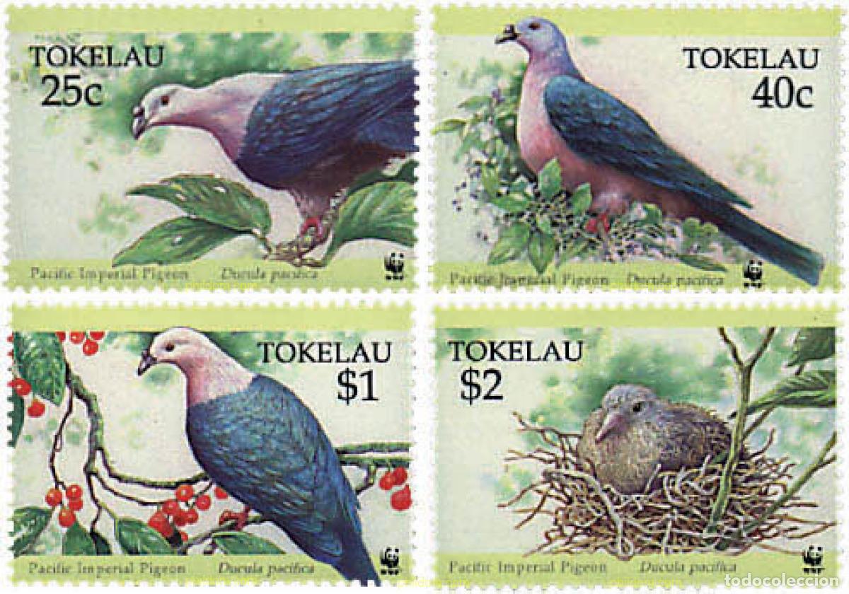 Sellos: 74137 MNH TOKELAU 1995 DUCULA PACIFICA