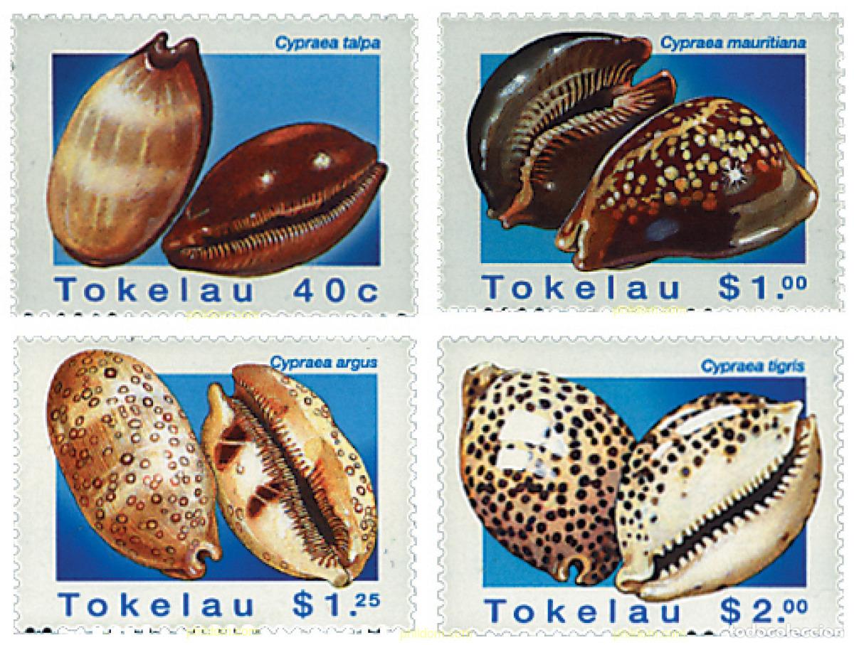Sellos: 45627 MNH TOKELAU 1996 CONCHAS