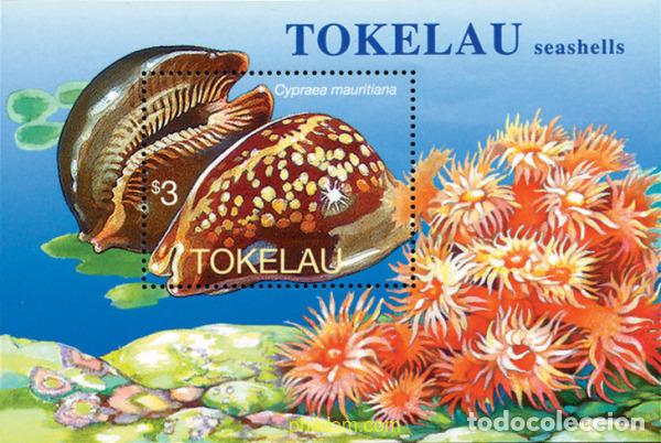 Sellos: 45629 MNH TOKELAU 1996 CONCHAS