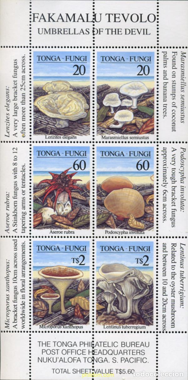Sellos: 10553 MNH TONGA 1997 SETAS