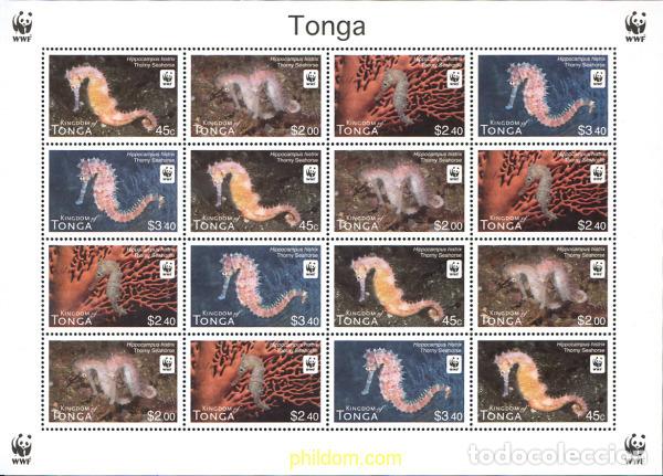 Sellos: 274170 MNH TONGA 2012 CABALLITOS DE MAR