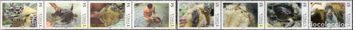 Sellos: 600301 MNH TONGA 2013 TORTUGAS