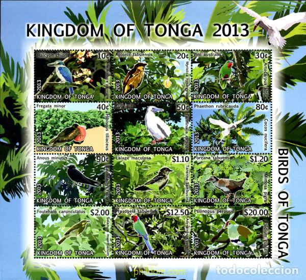 Sellos: 305749 MNH TONGA 2013 AVES