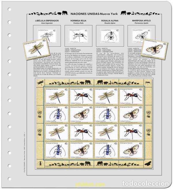 Sellos: Suplemento. FAUNA O.N.U. 2004/2008 Sin Montar