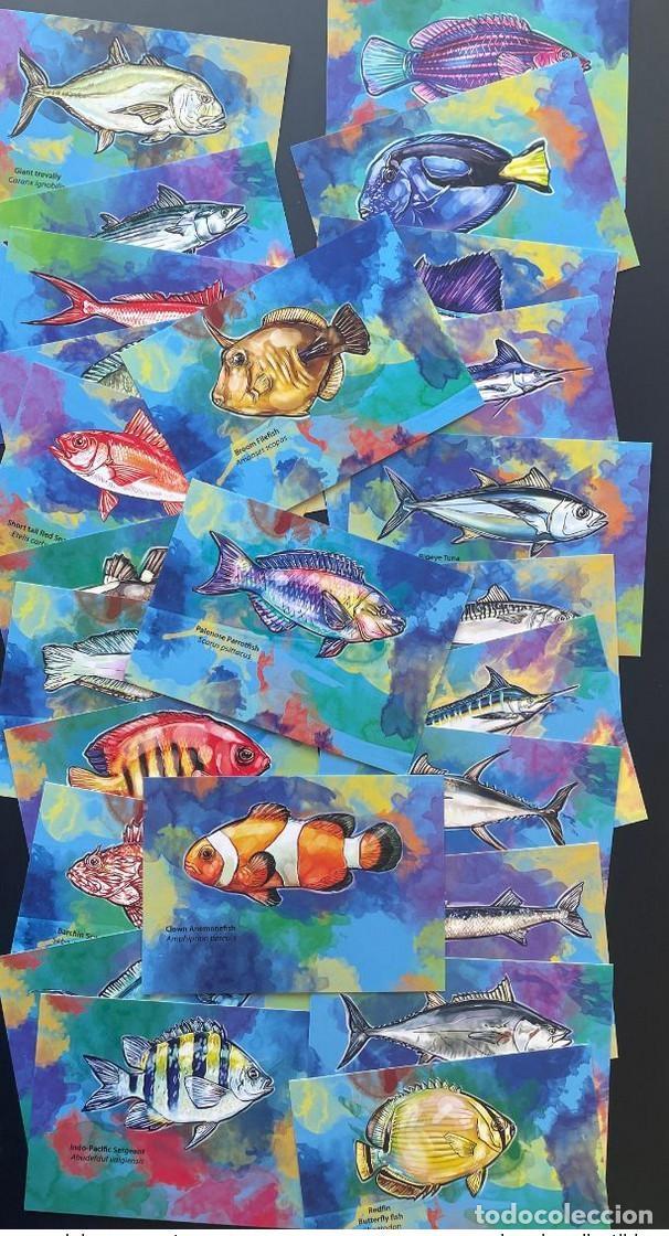 Sellos: Islas Salom&oacute;n 2013 Mi. 2017 - 2131 Peces enteros y fauna marina