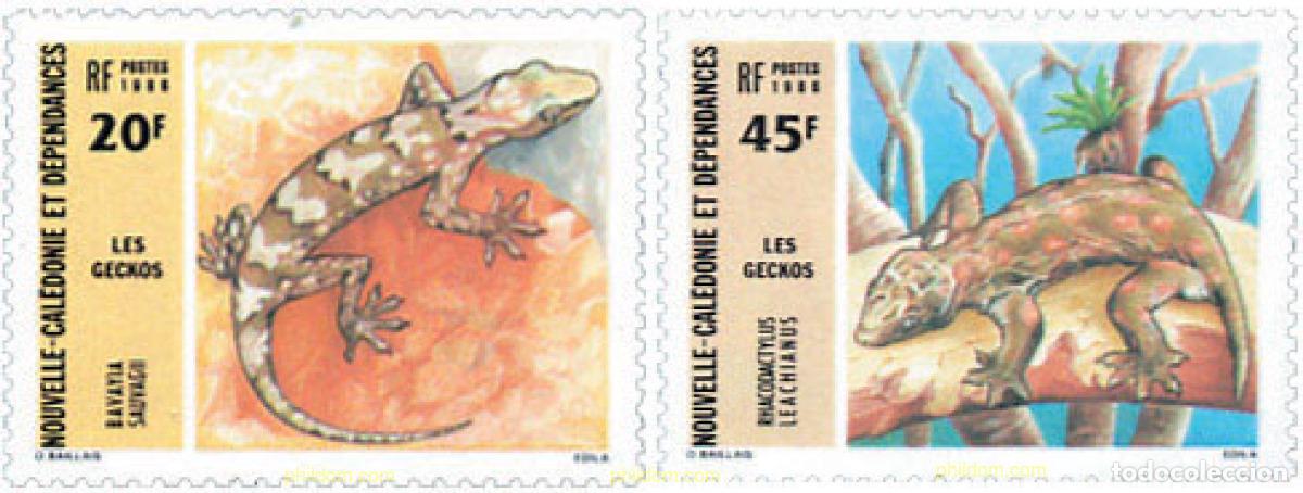 Sellos: 44517 MNH NUEVA CALEDONIA 1986 SALAMANQUESAS