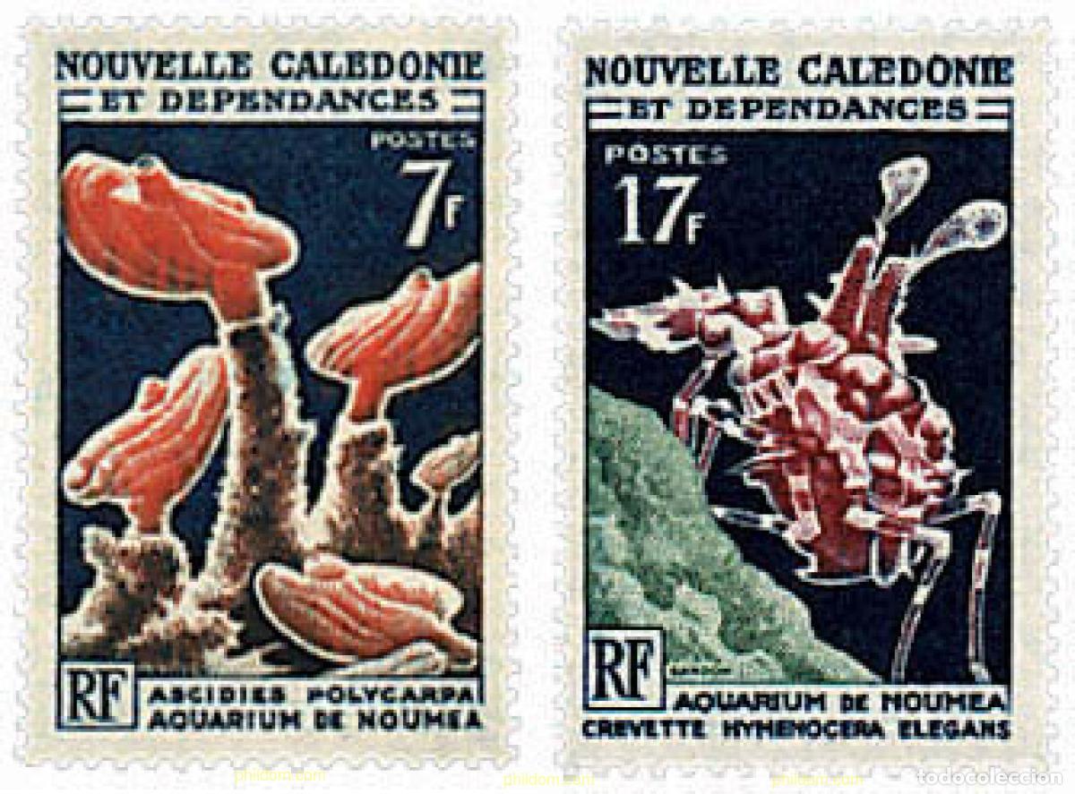Sellos: 589041 MNH NUEVA CALEDONIA 1964 ACUARIO DE NOUMEA
