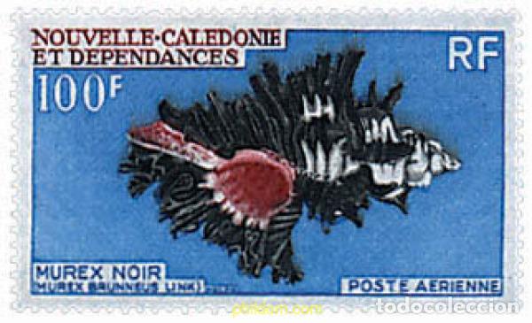 Sellos: 583710 MNH NUEVA CALEDONIA 1969 CONCHAS