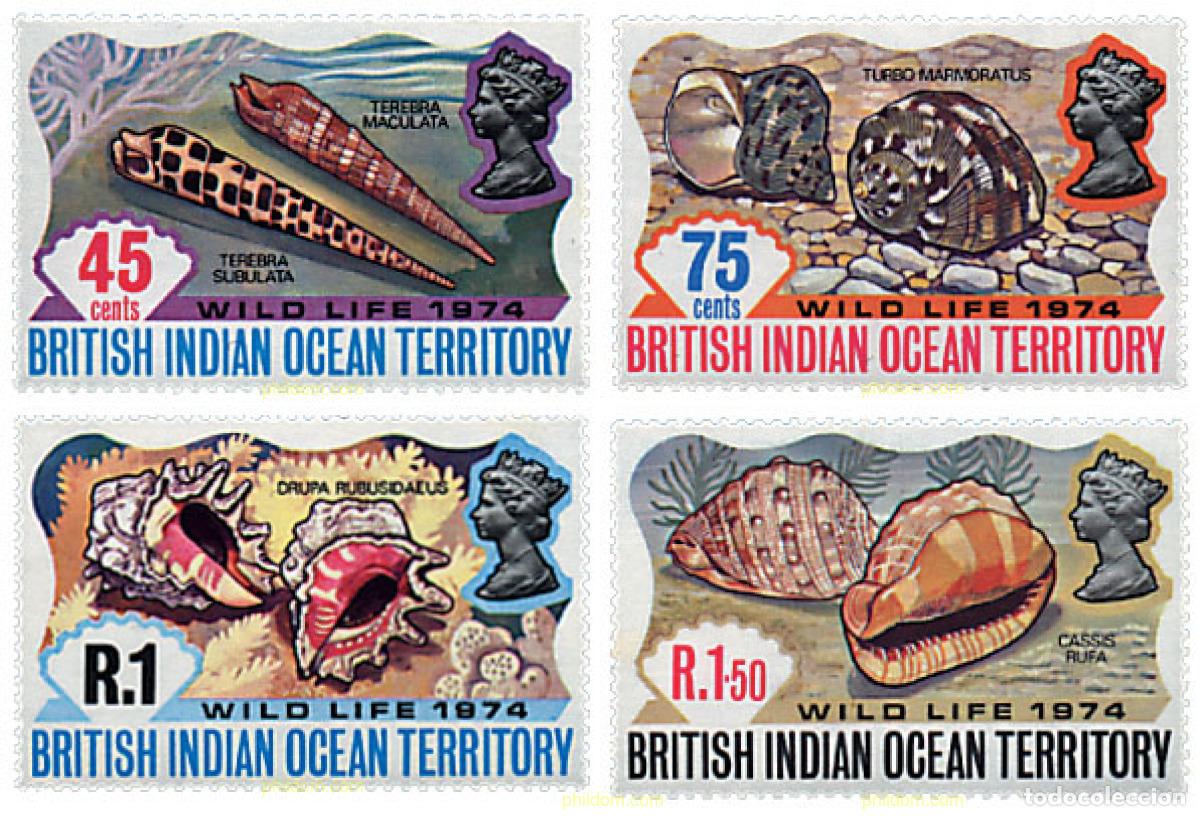 Sellos: 72854 MNH OCEANO INDICO BRITANICO 1974 CONCHAS