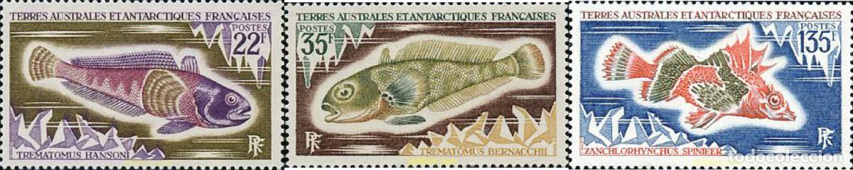 Sellos: 43410 MNH ANTARTIDA FRANCESA 1971 PECES DE LA ANTARTIDA