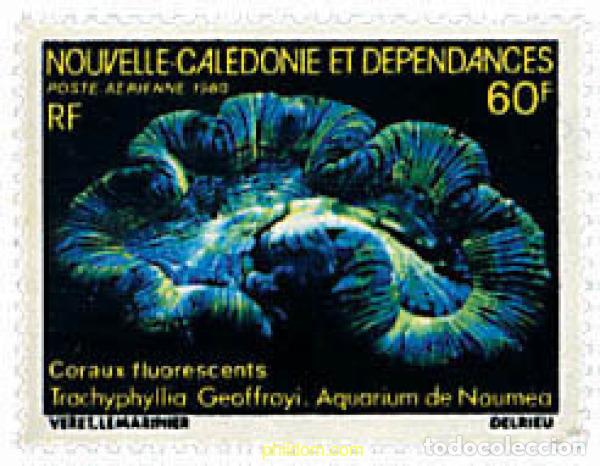 Sellos: 44486 MNH NUEVA CALEDONIA 1980 ACUARIO DE NOUMEA