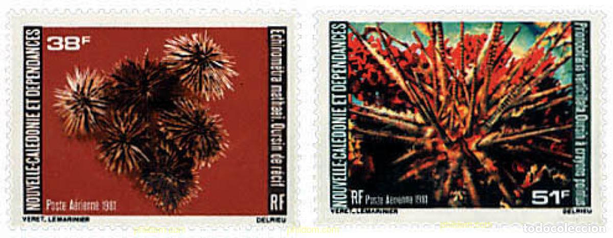 Sellos: 94951 MNH NUEVA CALEDONIA 1981 ERIZOS DE MAR