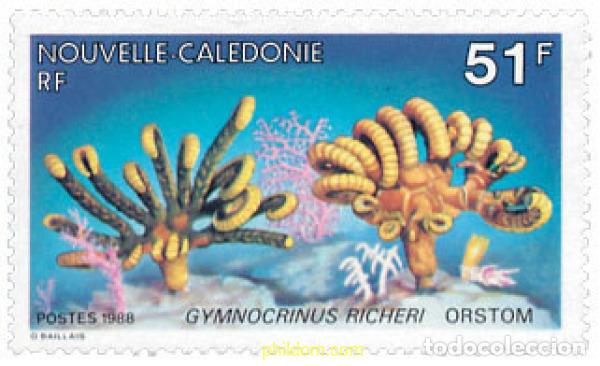 Sellos: 44537 MNH NUEVA CALEDONIA 1988 FAUNA MARINA