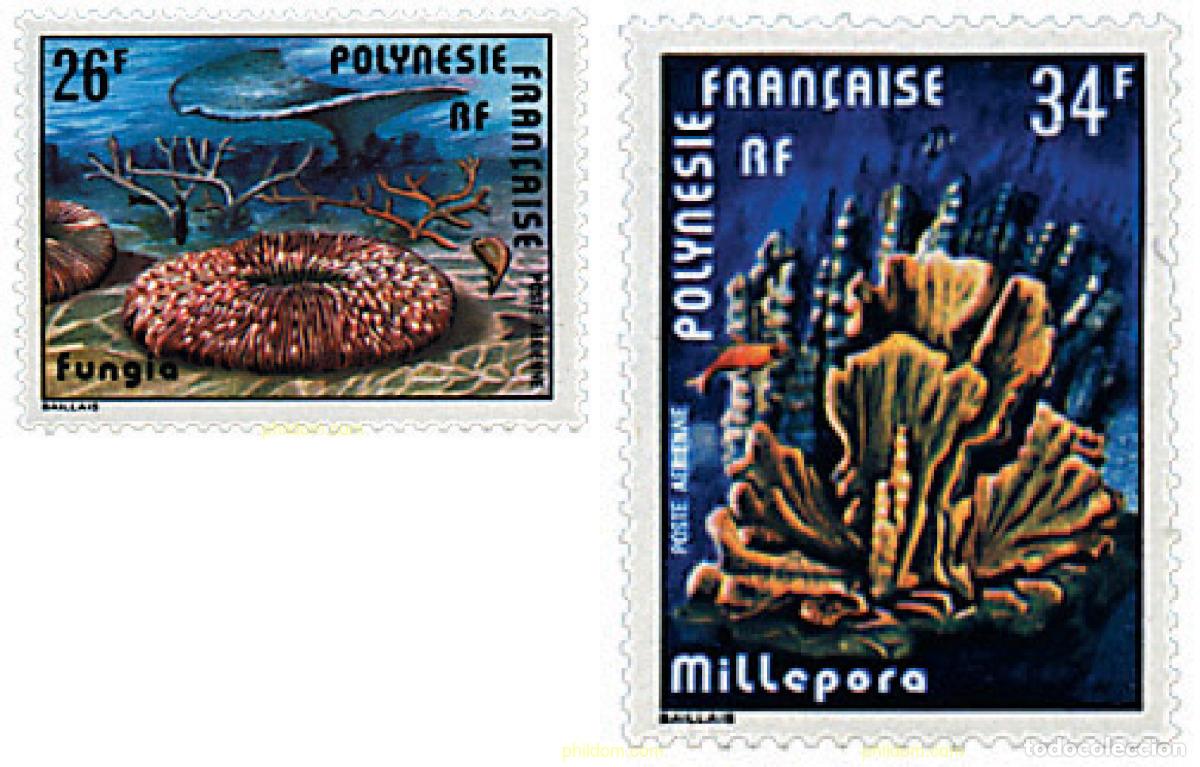 Sellos: 43577 MNH POLINESIA FRANCESA 1978 CORALES