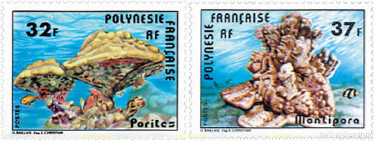Sellos: 43587 MNH POLINESIA FRANCESA 1979 CORALES