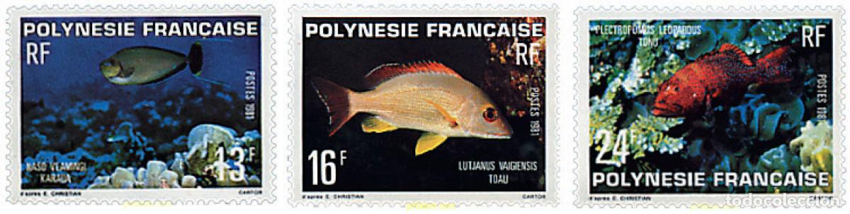 Sellos: 43605 MNH POLINESIA FRANCESA 1981 PECES