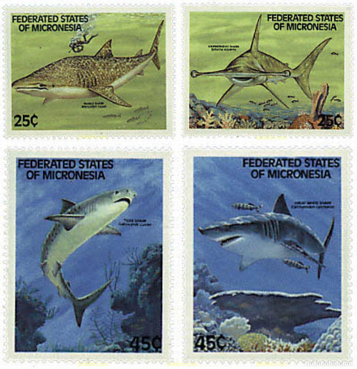 Sellos: 44376 MNH MICRONESIA 1989 TIBURONES