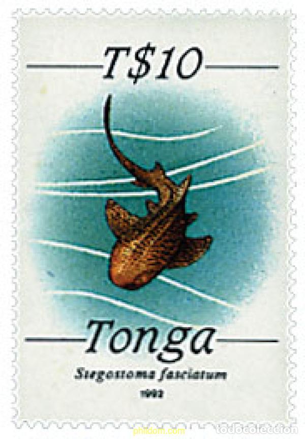 Sellos: 365859 MNH TONGA 1992 FAUNA MARINA