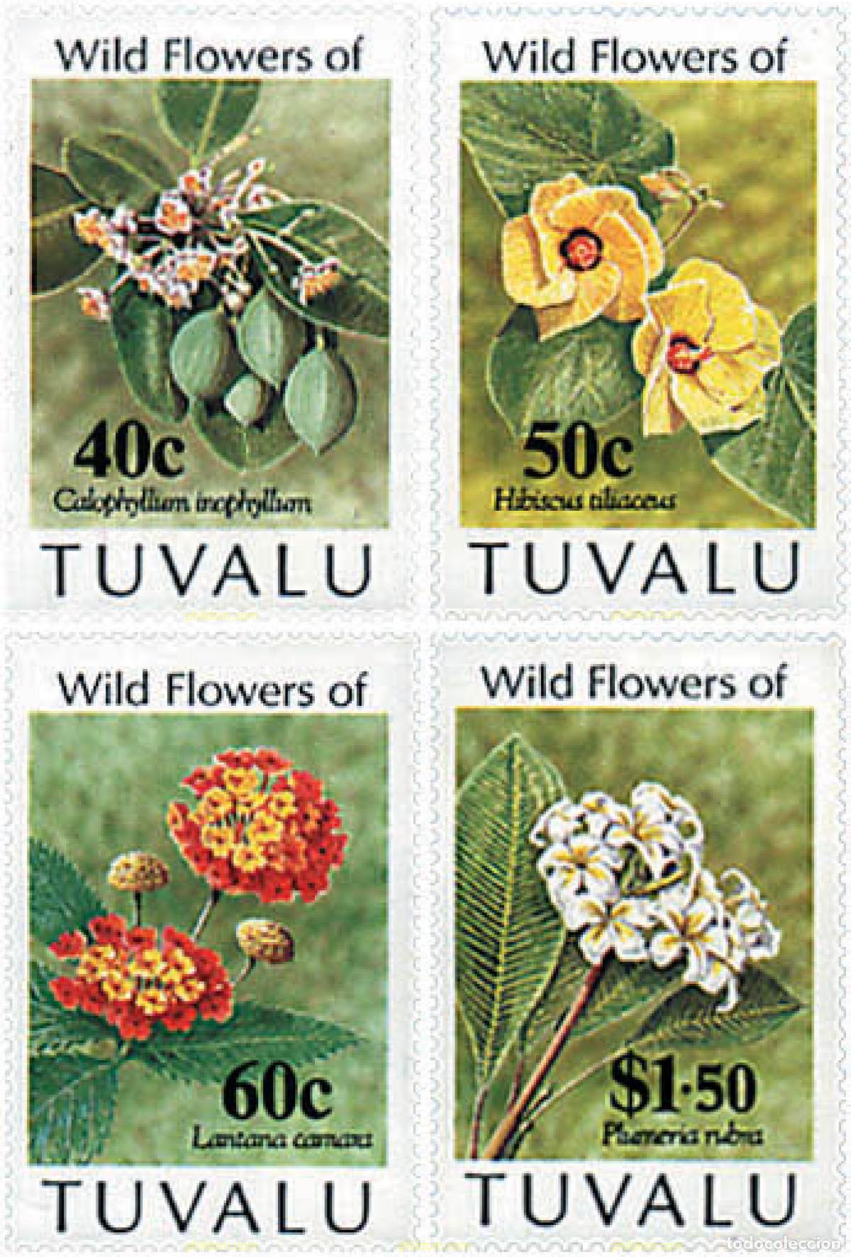 Sellos: 92083 MNH TUVALU 1993 FLORES SILVESTRES